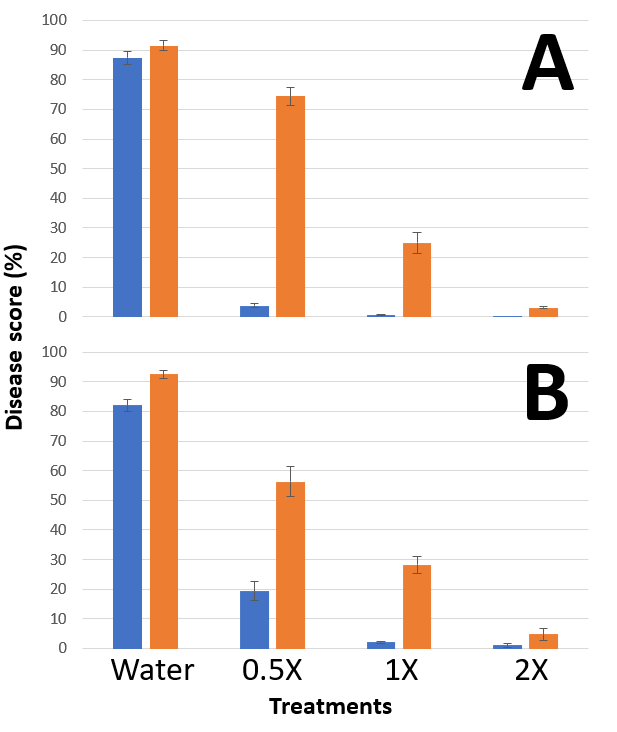 Two column graphs showing disease scores obtained for wheat plants variety Trojan sprayed with different rates of propiconazole 550 EC (A) and Aviator® Xpro® (B), and inoculated with wild type (blue) and DMI-resistant (orange) B. graminis f.sp. tritici isolates.