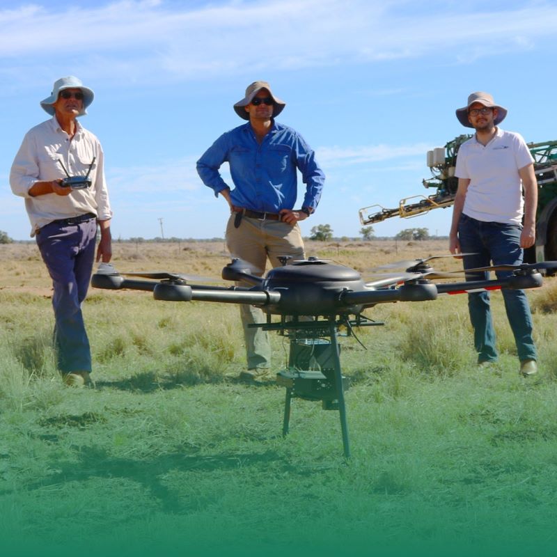 Drone weed mapping case study: Precision weed management