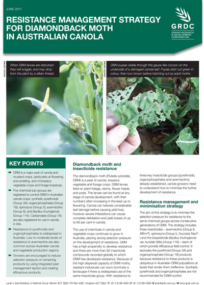 GRDC Factsheet - Resistance Management Strategy For Diamondback Moth In Australia Canola Cover image