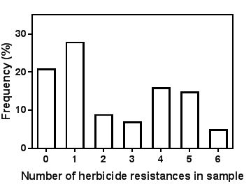 Data from our  (University of Adelaide) weed resistance surveys shows that with annual ryegrass, the number of herbicides that any one grower has resistance is bimodal with approx. 40% of fields having resistance to four to six herbicides and about half having resistance to zero or one herbicide.