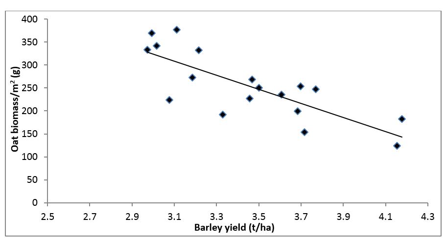 Figure 5. Relationship between oat biomass collected from experimental plots and barley yield (r2 = 0.62).