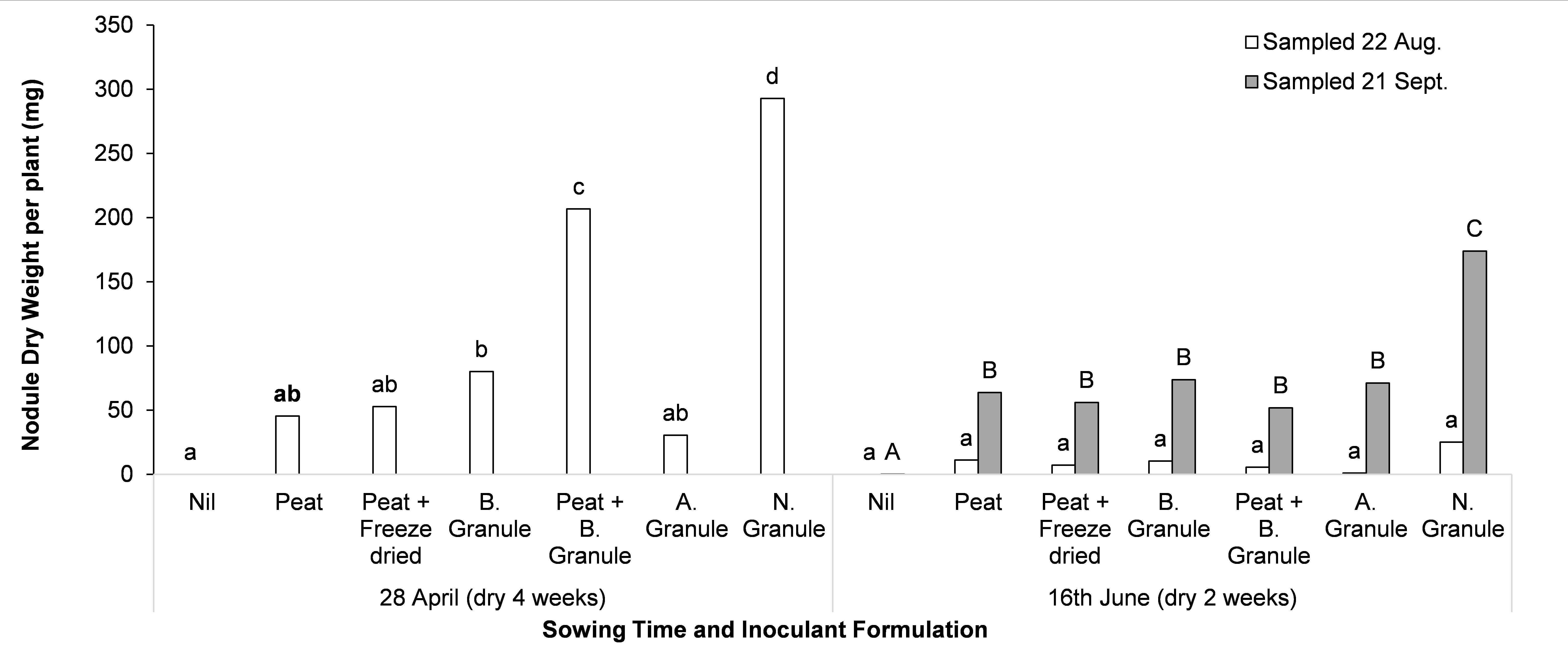 Figure 2. Nodulation of faba bean when sown dry (28 April — approximately four weeks between sowing and sufficient rainfall for germination, and 16 June — approximately two weeks between sowing and sufficient rainfall for germination) and when different inoculant applications were applied at Wanilla, SA. Nodule weight per plant was measured on the 22 of August and 21 of September. Letters that differ within a sampling time indicate significance at P<0.05. All inoculants are group F; peat slurry on seed (Peat) and BASF granules (B. Granule) were supplied by BASF and applied separately or in combination, Freeze dried inoculant (Freeze dried) was supplied by New Edge Microbials (applied with the Peat treatment), Alosca granules (A. Granule) were sourced from Landmark and Novozymes (N. Granule) were supplied by Novozymes.
