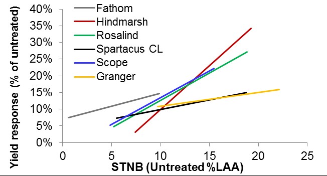 Line graph of STNB and yield response 