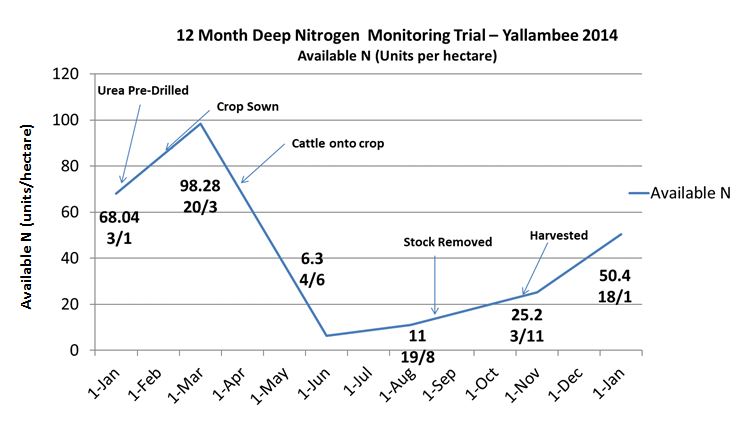 This is a line graph showing nitrogen availability over a 12-month period in a winter wheat cropped paddock  - ‘Yallambee’, Cassilis, 2014. Note the extremely low N availability by early winter, when the crop still has more dry matter and grain to produce.