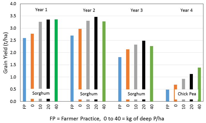 This column graph shows the deep P drill in year 1 (2013) at a depth of 20cm and row spacing of 50cm and the subsequent grain yield response over 4 consecutive years at Dysart QLD for sorghum and chickpea. No additional deep P was applied in subsequent years and annual P at sowing was 6kg/ha (Bell et al 2016).