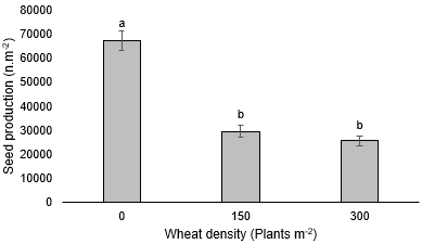 image of density on ryegrass