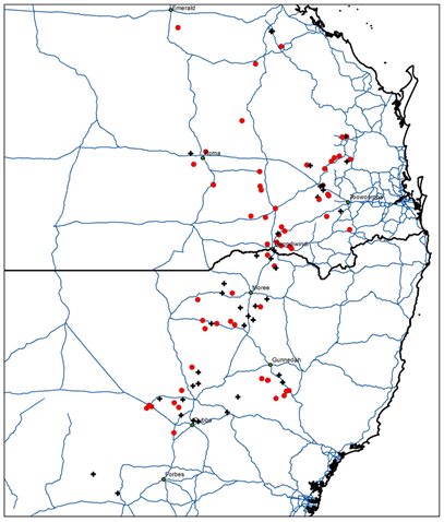 This is a map of fleabane populations across the northern grain cropping region surviving glyphosate application. Red circles are populations surviving the target glyphosate application rate, while black crosses represent non-viable populations.