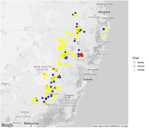 This is a map showing the distribution of winter cereal survey sites across the northern region in 2019