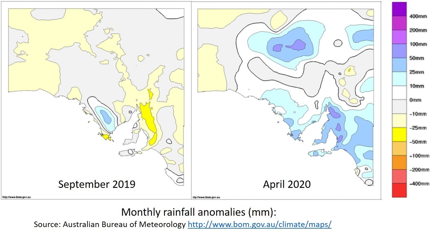 Picture of weather maps for rainfall totals during September 2019 and April 2020 on parts of Eyre Peninsula indicating above average rainfall