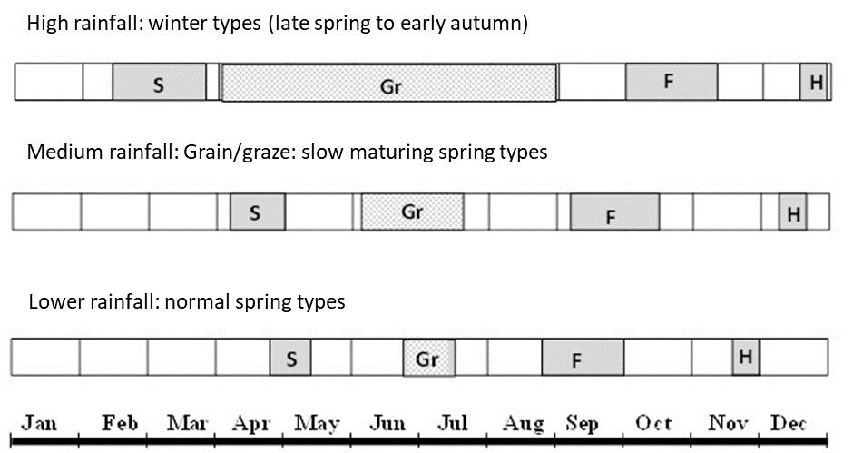 Diagram showing the increased grazing window of winter varieties in longer-season areas compared to spring types in the cropping zones. 
