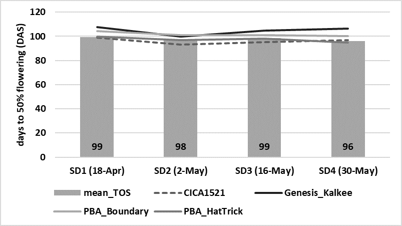 This line and column graph shows the effect of sowing date on number of days to 50% flowering, for four chickpea varieties sown at four sowing dates, Trangie ARC, 2018. Columns represent the mean of all eleven varieties sown in the 2018 experiment for each sowing date (TOS l.s.d. (P=0.003) = 1.851 days).