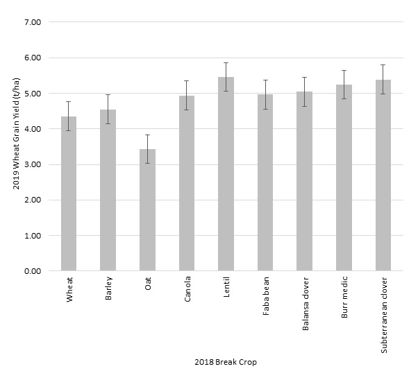 Column bar graph showing the 2019 wheat grain yields grown at Bordertown following different crop types, including cereals, legumes and pastures grown in 2018