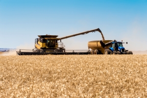 image of harvest