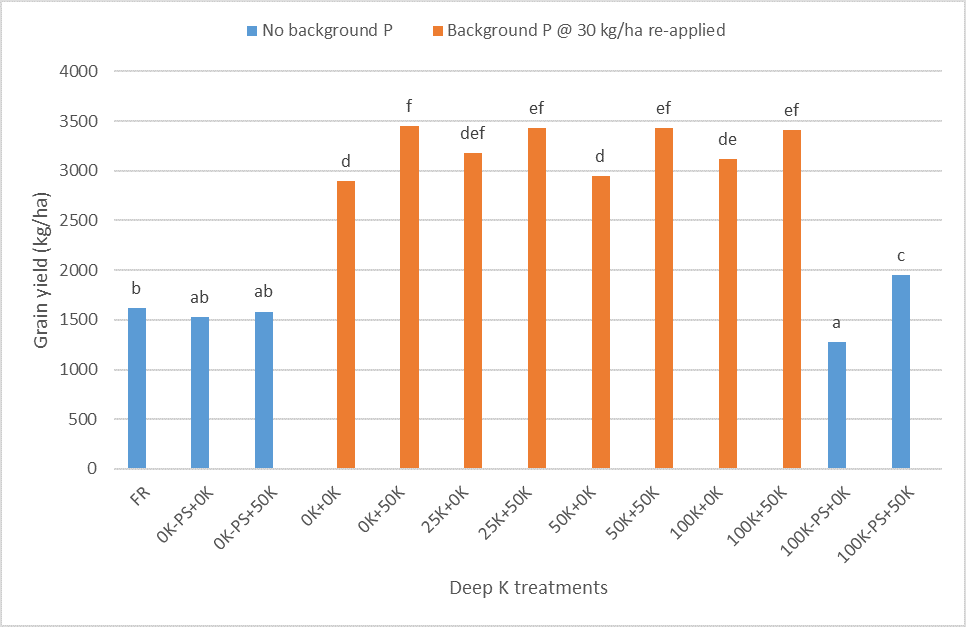 This column graph illustrates the comparison of mean grain yields (kg/ha) in K trial split between treatments with (orange) and without (blue) background phosphorus (+30kg/ha). Means with the same letters are not significantly different at the 5% level (lsd=298).