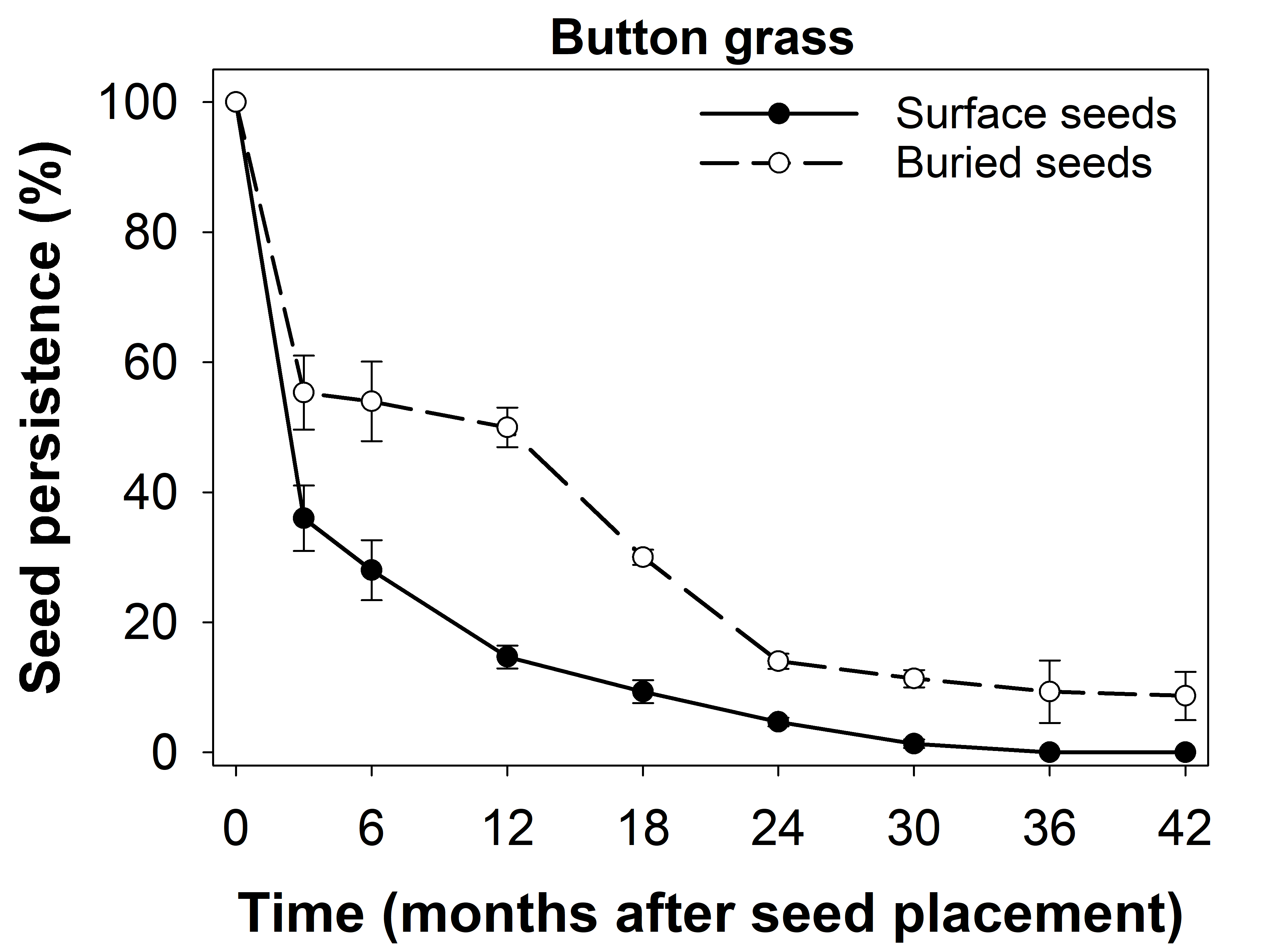 This line graph with error bars shows the persistence of button grass seeds placed on the soil surface or buried at 2 cm.