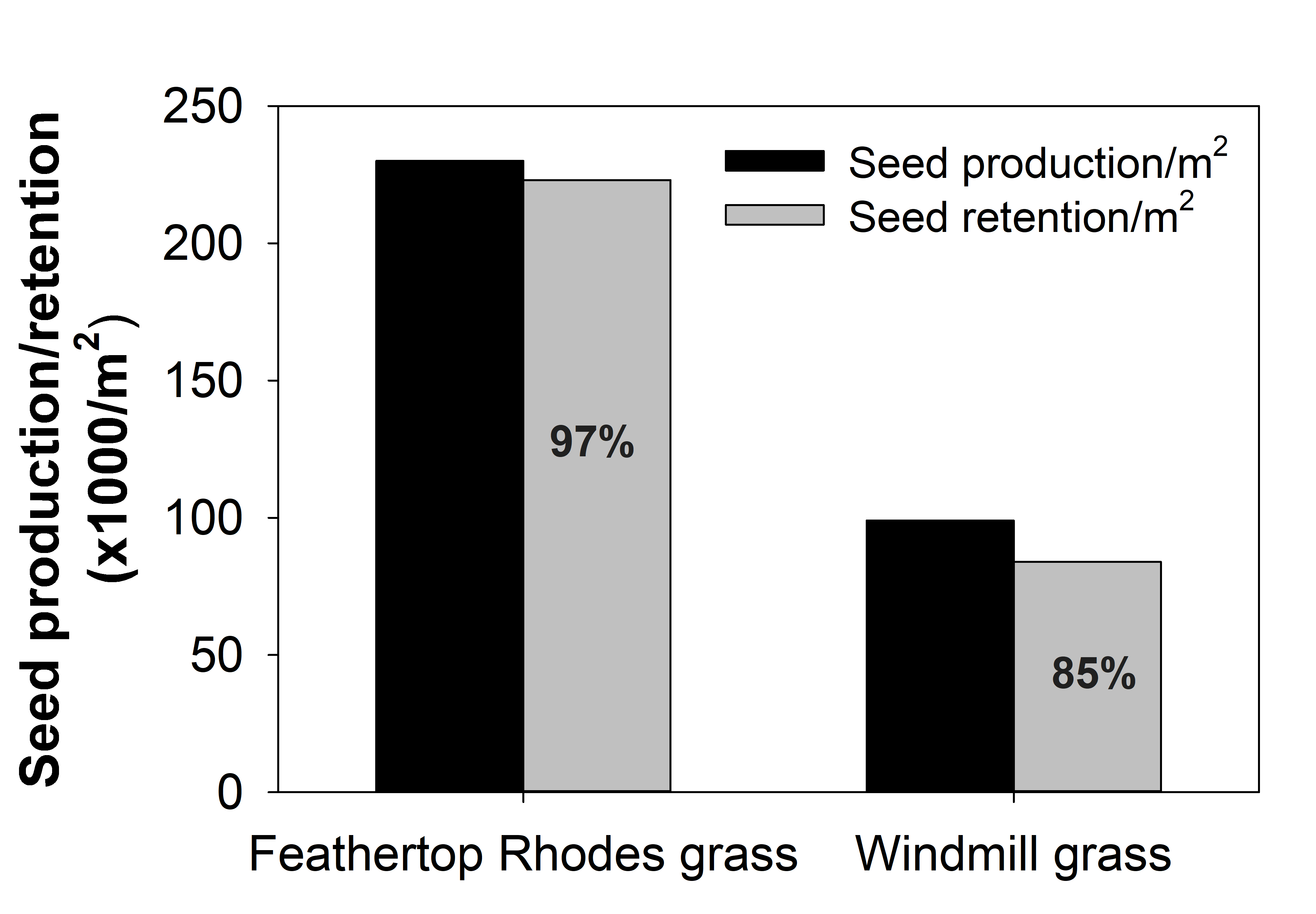 This column graph shows the relationship between seed production and seed retention (number/m2) of feathertop Rhodes grass and windmill grass at crop harvest in mungbean (Manalil et al. 2020)