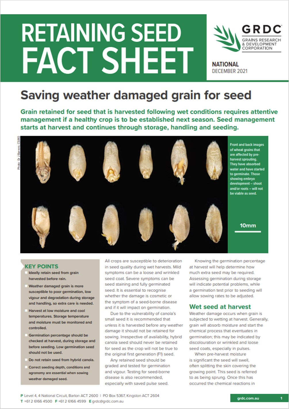 Seed Storage and Germination Recommendations