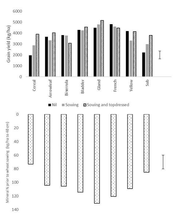 Two column graphs showing the grain yield of wheat (kg/ha) where no nitrogen, nitrogen at sowing only or nitrogen at sowing and at GS31 was applied in 2020 grown after a range of hardseeded annual legumes, wheat or subterranean clover in 2019. Soil mineral nitrogen prior to wheat sowing in 2020 is also shown.