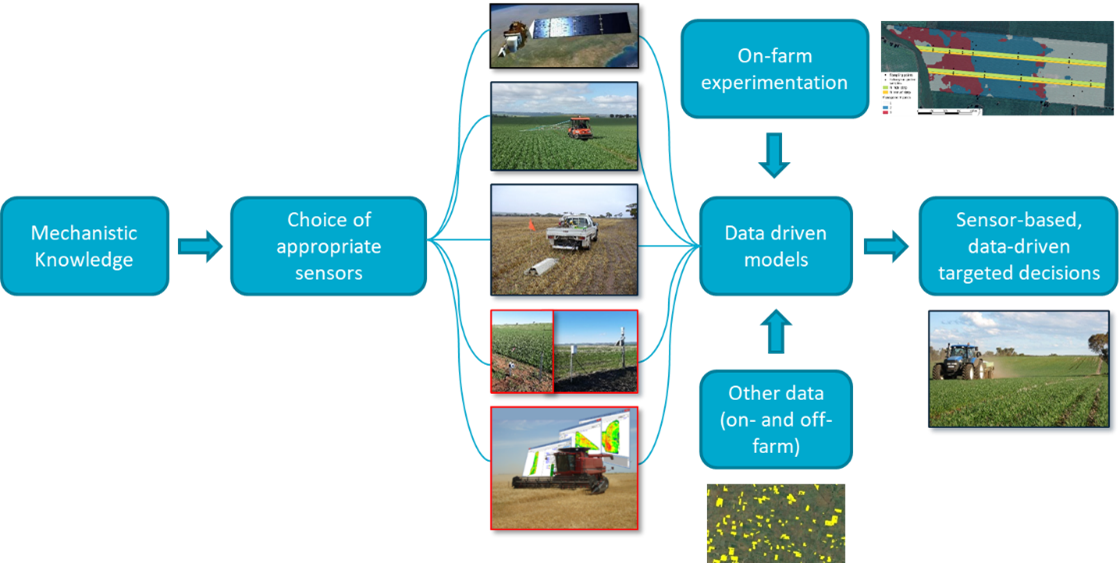 d), the circled pictures indicate that these sensors are relatively easy to calibrate. Those not circled are used for prediction of crop and soil attributes rather than absolute measurement.