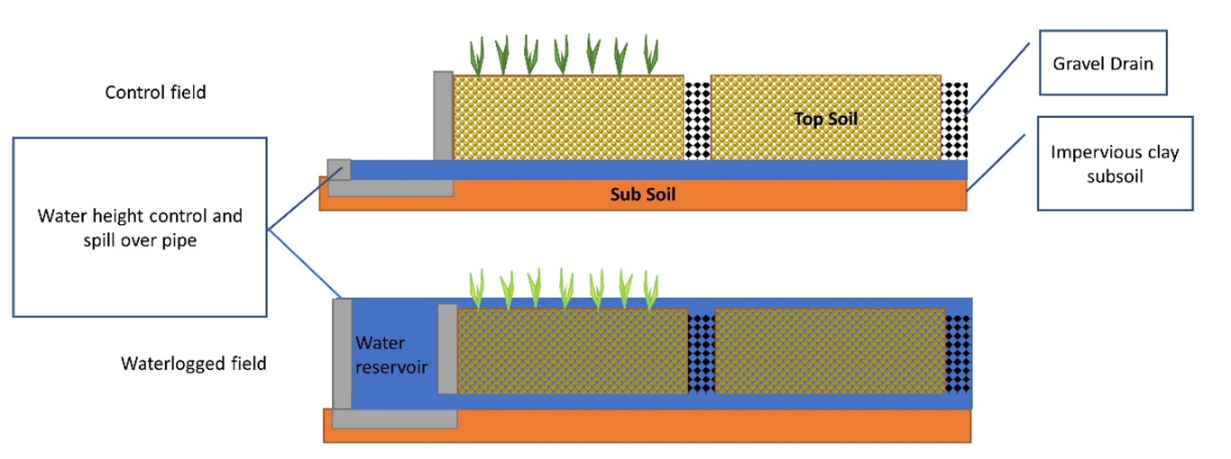 Layout of waterlogging and control treatment 