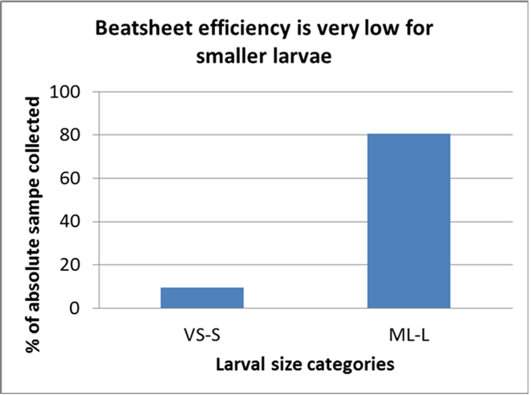 Bar chart showing Beatsheet sampling was detecting less than 10% of the small helicoverpa larvae  in the wheat crop canopy (compared with an absolute sample).  Medium – large larvae were more reliably sampled (80%).