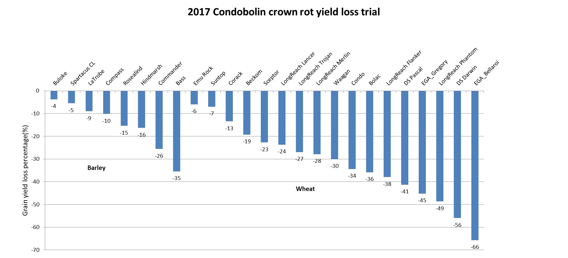 Figure 6. Grain yield reduction between plus crown rot and minus crown rot treatments for eight barley and 17 wheat varieties at the Condobolin Agricultural Research and Advisory Station, 2017.