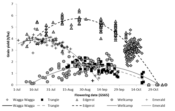 Figure 1 is a scatter graph which shows the relationship between flowering date and grain yield of genotypes across sowing dates at five sites in 2017.