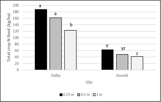 Figure 1 is a column graph which shows the total N fixed in chickpeas (shoots and roots) when grown at 3 different row spacings but keeping plant population the same at 30 plant/m2 - results are shown for sites at Dalby and Goondiwindi