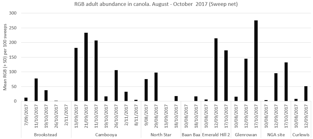 Figure 2 is a column graph that shows RGB adults were present in canola from late winter (August – September).  (SD = standard deviation)