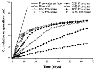 Line graph showing the effect of rate of applied wheaten straw on the cumulative evaporation from moist soil columns 