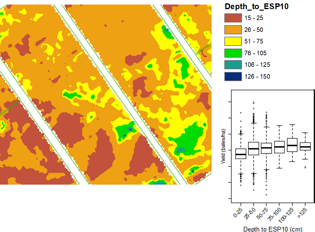 This colour map shows the surface of depth to 10% ESP and boxplot of the correlation between depth to ESP and cotton yield