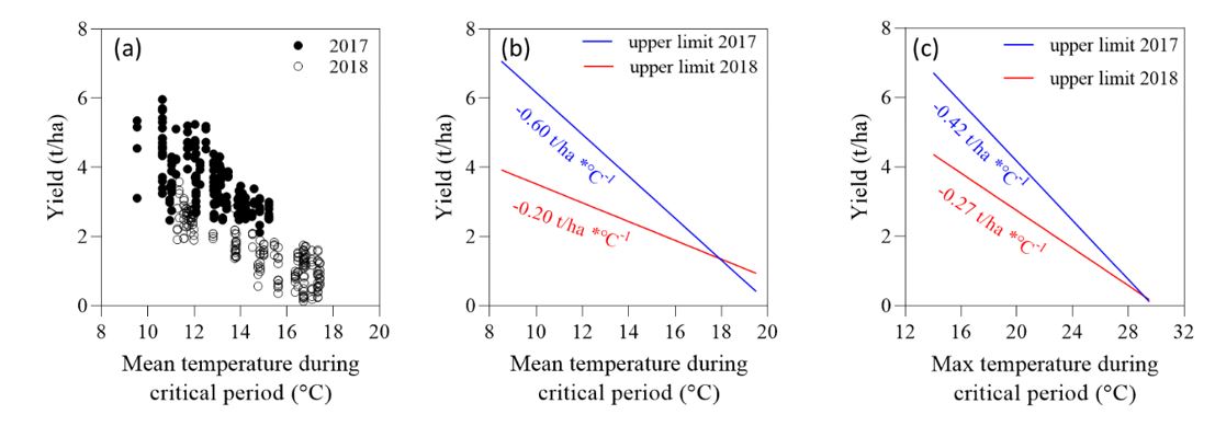 The effect of temperature during the critical period on yield depends on other growing conditions. (a) Wheat yield versus mean temperature in the critical period for wheat crops in SA in higher (2017) and lower-yielding (2018) seasons. The scatter is related to site-season, variety, nitrogen rate and sowing date. Upper limit of yield as a function of (b) mean and (c) maximum temperature in the critical period. In this study, critical period was defined from 20 days before to 10 days after flowering. 