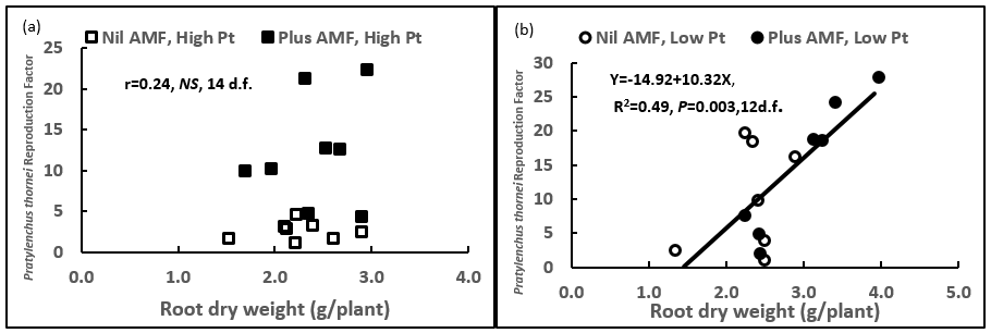 These scatter plots show the higher reproduction factor (RF) of P. thornei was not caused by an increase in plant root biomass in mung bean at high initial rates of 10 P.thornei/g (Fig. 6 a), but was correlated at low rates of 1/g P. thornei (Fig 6 b). 