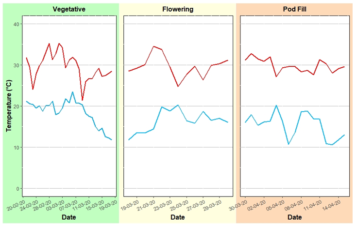 These three line graphs illustrate the Maximum (red line) and minimum (blue line) temperatures (°C) from planting to the end of the pod-filling drought stress treatment.