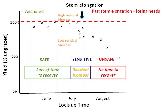 Diagram showing the yield recovery of grazed dual-purpose crops highlighting the safe, sensitive and unsafe periods of grazing.  Yield recovery from grazing during the sensitive period for a given target yield is affected by the residual biomass at lock-up.  Late grazing reduces the time for recovery, so more residual biomass is needed.