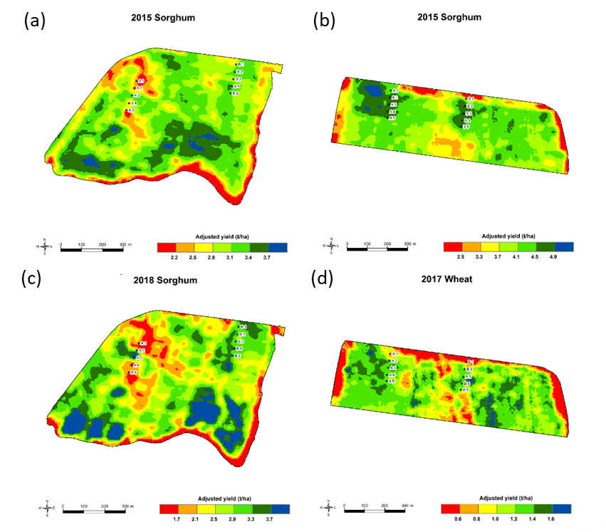 This figure is for yield maps from National Paddock Survey project for two paddocks (a,c and b,d) in the Capella Qld region. (Note that yield scales differ between the four maps.)