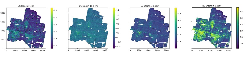 Figure 8. Predicted EC (mS/cm) across the farm using BNN plus GP. Profile average EC and EC at three different depths down the profile are shown.   