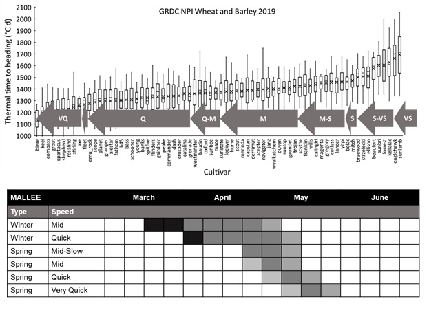 The new cultivar phenology classification scheme ranks cultivars according to thermal time to heading using data from four field sites in SA, VIC, NSW and WA and five times of sowing from mid-April to mid-June. Cultivars can then be assigned into a phenology class using the Australian Crop Breeders maturity guide. This information can then be used to give regional sowing time information as per the annual GRDC Crop Sowing Guides