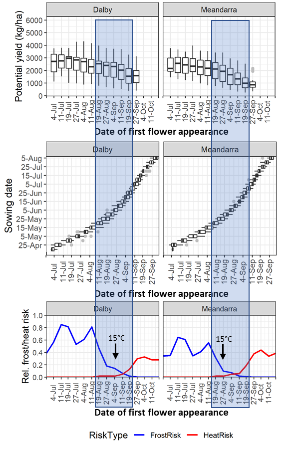 This figure illustrates the Water-limited potential yield, sowing date and relative frost/heat risk, plotted against the date of first flower appearance for PBA HatTrick  at Dalby and Meandarra. Shaded area represents the predicted optimum window for appearance of first flowers. Arrows and ‘15°C’ mark the first week that has an average daily temperature ≥15°C in the second half of the year, i.e. when conditions become favourable for pod-set.
