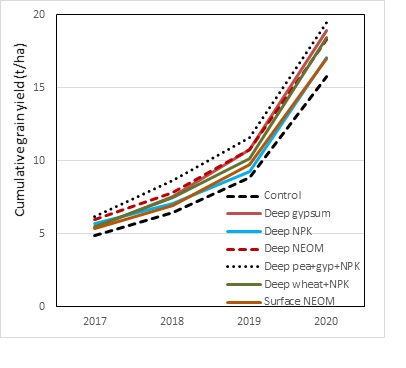 Line graph showing cumulative grain yield responses to selected amendment treatments at Rand for 2017 to 2020 in barley, wheat, canola and wheat.