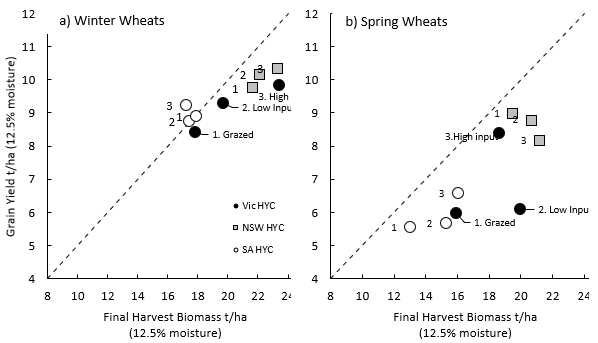 . Relationship between dry matter and grain yield (t/ha) across a: Winter wheats (RGT Acrocc and Anapurna), and b: Spring wheats (ScepterA and TrojanA) at three different management levels, grain only 2. low and 3. high input systems, and 1. grazed systems in 2020 at Wallendbeen NSW, Millicent SA, and Gnarwarre Vic. The dotted line represents aspirational yields that are possible with a harvest index of 50%. The key differences between low and high input are the addition of a PGR, and extra nitrogen (~20—40kg), and one extra fungicide. Grazing simulated by mowing prior to GS30. Management details for Victoria in this example can be found on the FAR Australia website.