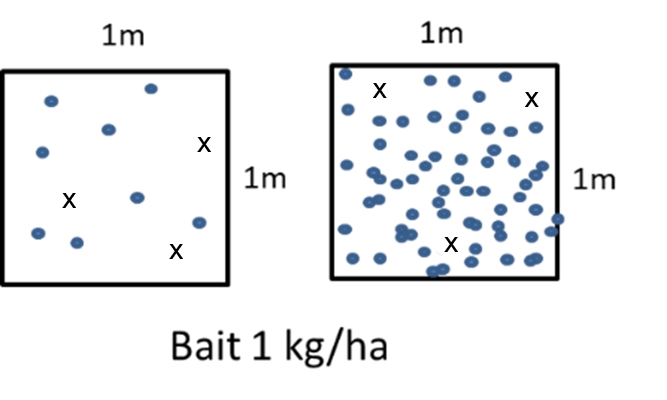 Representation of detectability of toxic grains at different levels of background food. The dots represent grains and crosses represent toxic grains.
