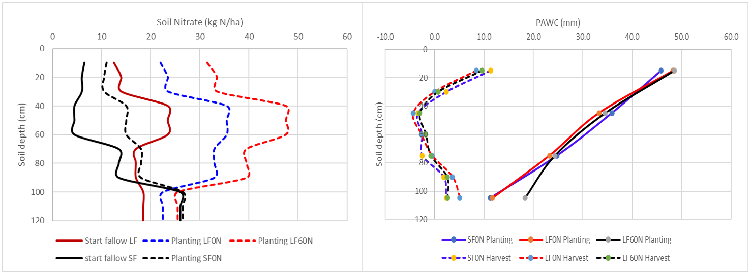 Side-by-side graphs showing mean nitrate distribution (left) between the start of fallow and planting for the short and long fallow treatments in the 2020-2021 mungbean N response trial.