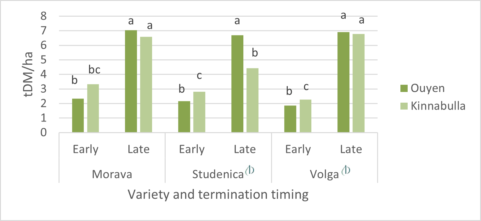 Biomass at termination timing (t DM/ha) of vetch varieties at Kinnabulla and Ouyen. Columns with different letters show significant difference within a site. The sites were analysed separately. Kinnabulla P<0.001, Lsd 1.16t DM/ha, CV 17.4%, Ouyen P<0.001, Lsd 1.29t DM/ha, CV 18.7%.