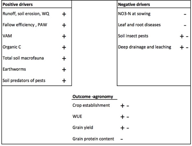 Figure 7. Summary of positive and negative drivers associated with adoption of reduce tillage and stubble retention systems. Note that +- indicates that there are positive and negative impacts.