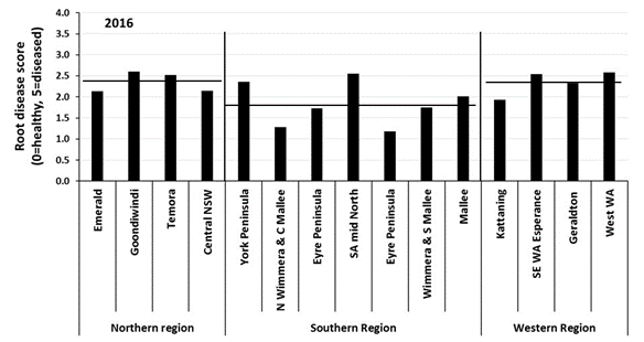 Figure 2. Average root disease ratings in cereal crops sampled 8 weeks after emergence from paddocks monitored by the national paddock survey project in 2016. Horizontal lines represent the regional average.