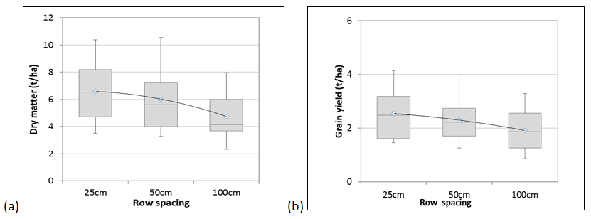 Figure 1 is a set of two box and whiskers graphs (a) and (b) which give a summary of 12 chickpea sites from 2014 and 2015 [diamond marker indicates average across all sites and the trend line for the 3 row spacings]. (a) shows the effect of row spacing on dry matter production and (b) final grain yield.  Row spacing has a larger effect on dry matter production than grain yield, however both trend lower as row spacing increases.