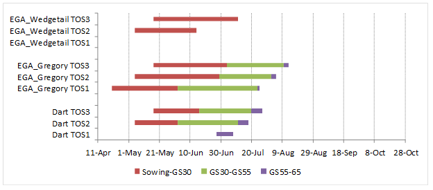 Figure 2 is a segmented bar graph which shows the phasic development in response to sowing time of Dart , EGA Gregory  and EGA Wedgetail  at Emerald. Phase durations measured from sowing to start of stem elongation (GS30), ear emergence (GS55) and anthesis (GS65). Sowing dates: 20 April (TOS1); 5 May (TOS2) and 17 May (TOS3). Dotted lines indicate optimal flowering period in 2017.