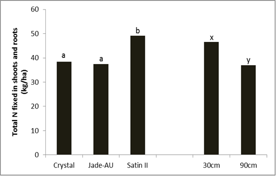 Figure 2 is a column graph which shows the differences in total shoot and root nitrogen for 3 mungbean varieties, Crystal  , Jade-AU   and Satin II    (LSD 5% = 7.65) and for two row spacings of 30 and 90cm (LSD 5% = 6.24). 