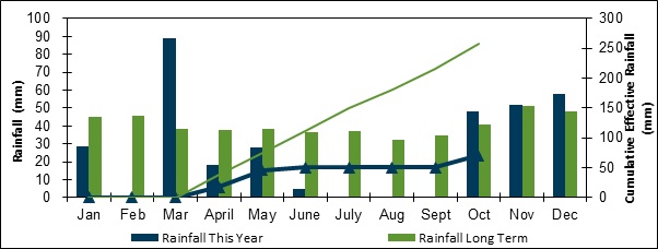 Bar column graph indicating the monthly rainfall for 2017 compared with long term average rainfall for an example farm in the Condobolin region